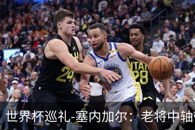 世界杯巡礼-塞内加尔：老将中轴带来安全感，非洲顶流前景可期！